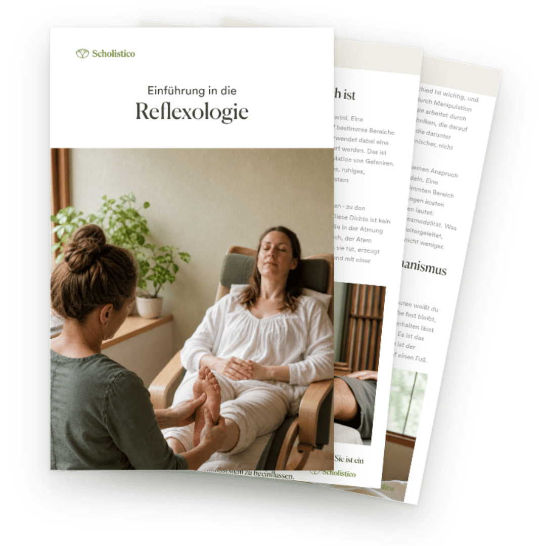 Entdecken Sie, was Reflexologie wirklich ist, wie sie funktioniert und was es braucht, sie zu praktizieren.