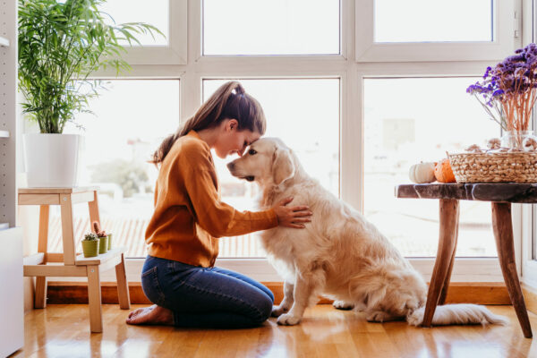 mooie vrouw die aanbiddelijke golden retriever hond thuis omhelst. liefde voor dieren concept. levensstijl