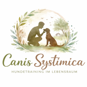 Profilbild von André