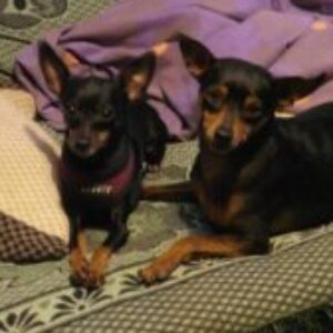 Profilbild von Sandra