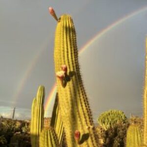 Profilbild von Torsten