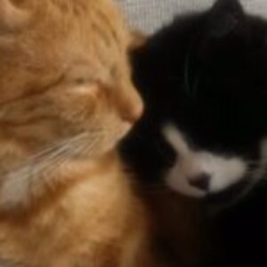 Profilbild von Kerstin