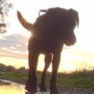 Profilbild von Ella