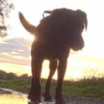 Profilbild von Ella