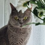 Profilbild von Kathleen