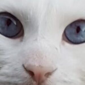 Profilbild von Margret