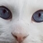 Profilbild von Margret