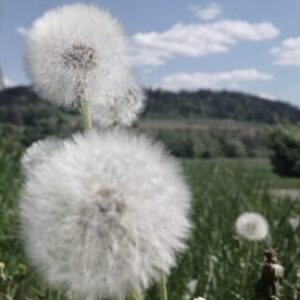 Profilbild von Bianka