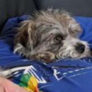 Profilbild von Dorothee