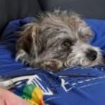 Profilbild von Dorothee