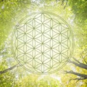 Profilbild von Frauke